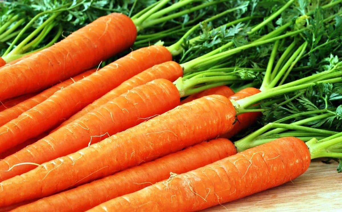 Какую морковь лучше посадить вкусную и большую