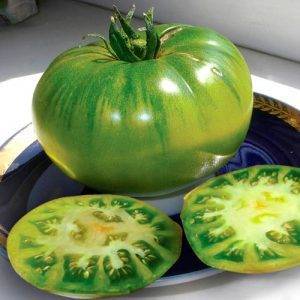 Сорт зеленых помидор