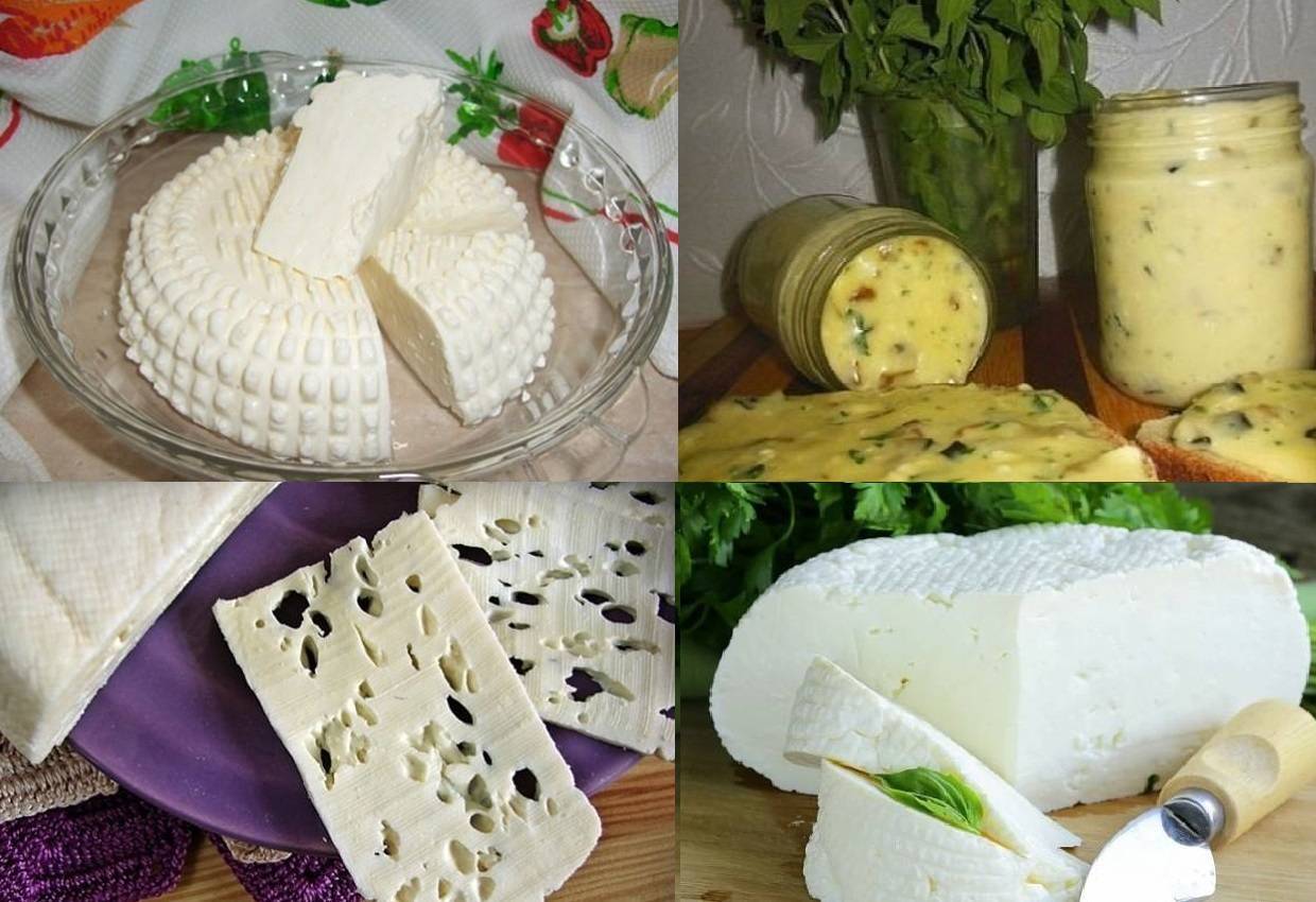 Простой рецепт сыра в домашних условиях