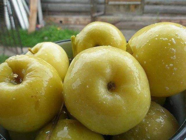 Моченые яблоки быстрого приготовления