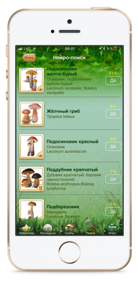 Приложение энциклопедия грибов с распознаванием по изображению (с использованием искусственного интеллекта)