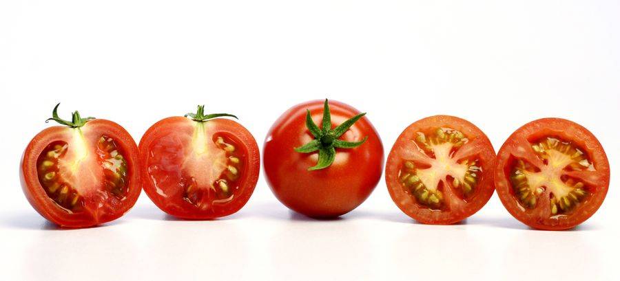 Почему помидоры внутри белые и жесткие