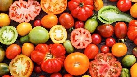 Сорта и виды помидор