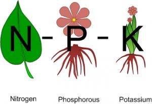 NPK – это сочетание символов элементов: N - азот, P – фосфор, K - калий.