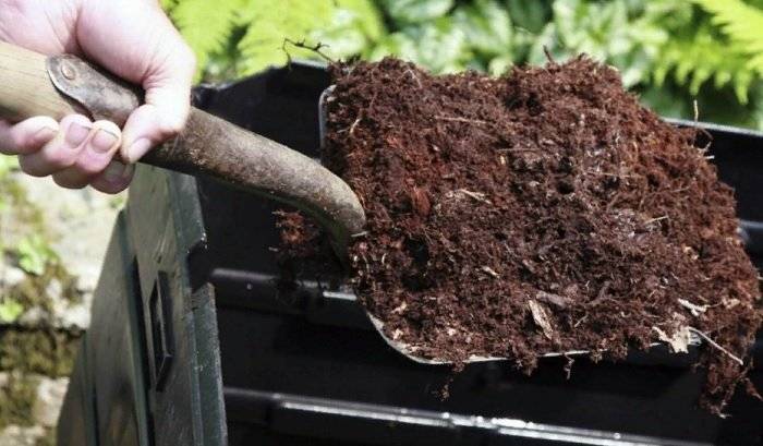 Что делать если почва кислая в огороде