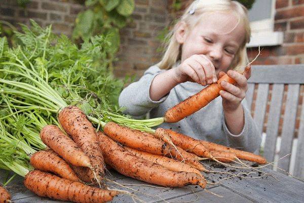 девочка чистит морковь