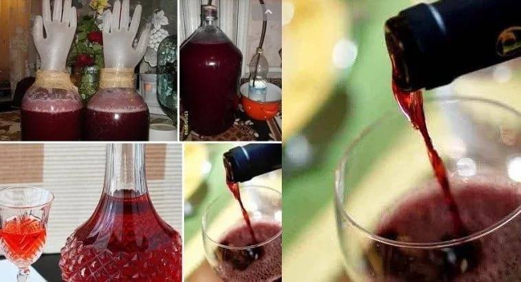 Виноградное вино в дом условиях