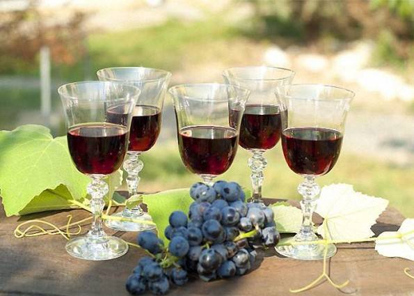 Домашнее вино из винограда рецепты с перчаткой