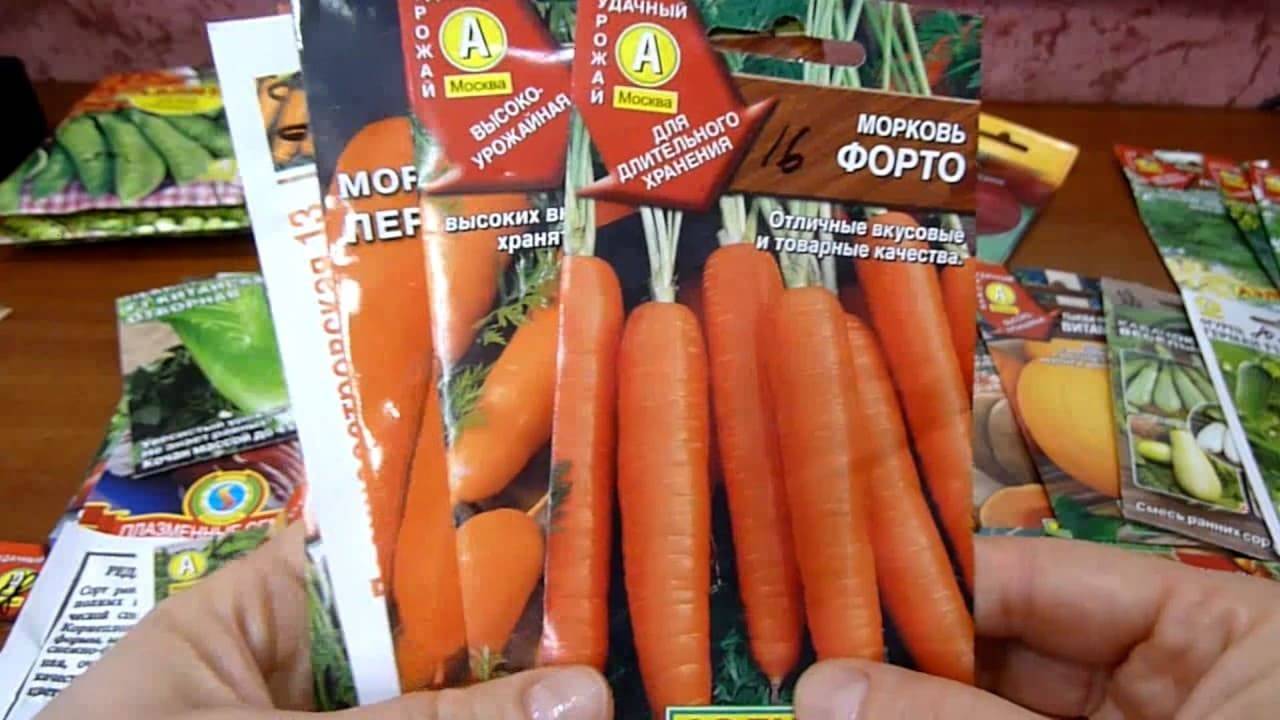 Ранние сорта моркови для средней полосы