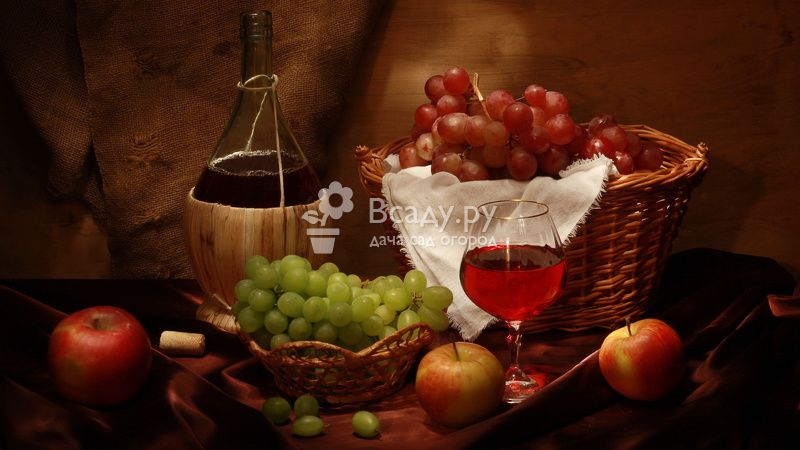 Домашнее вино из старого и забродившего варенья
