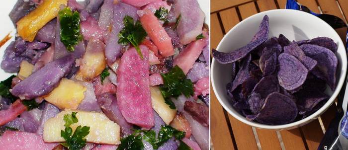 Фиолетовая картошка польза
