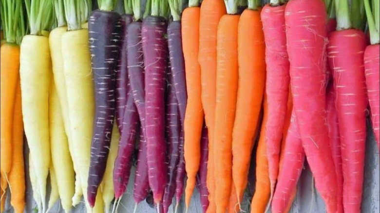 Из чего состоит морковь