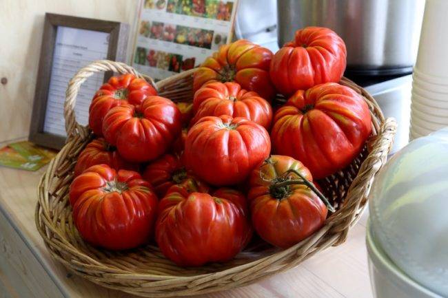 Семена томатов сортовые