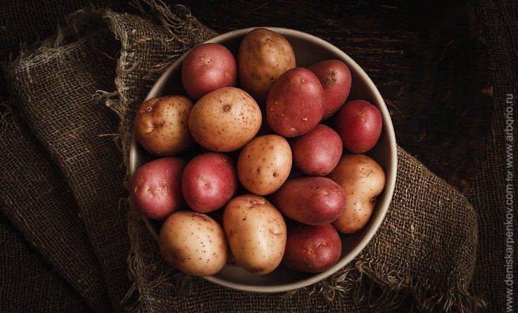 Какую картошку лучше жарить красную или белую