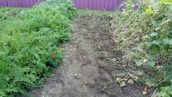 Когда лучше копать огород осенью или весной