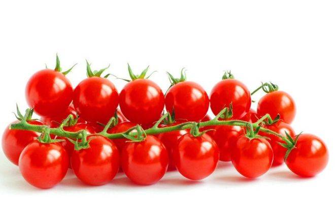 Виды томатов и их отличие