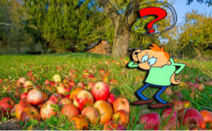 Уход за яблонями осенью борьба с вредителями