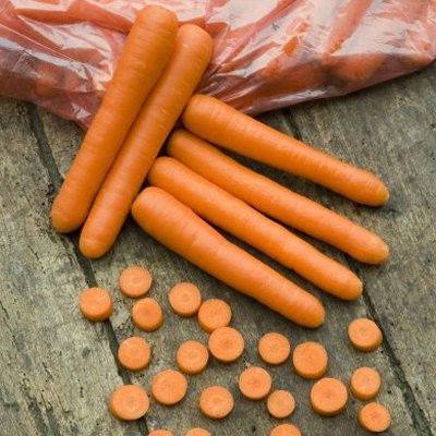 Морковь каскад описание сорта