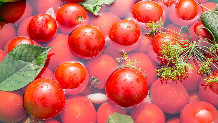 Томатоводы помидорное счастье