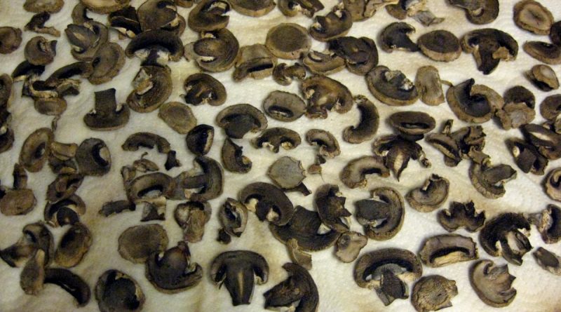 Сушеные в печи грибы