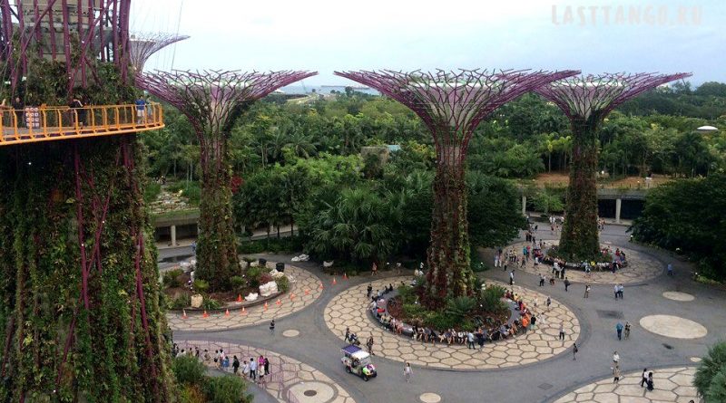 Сады у залива сингапур