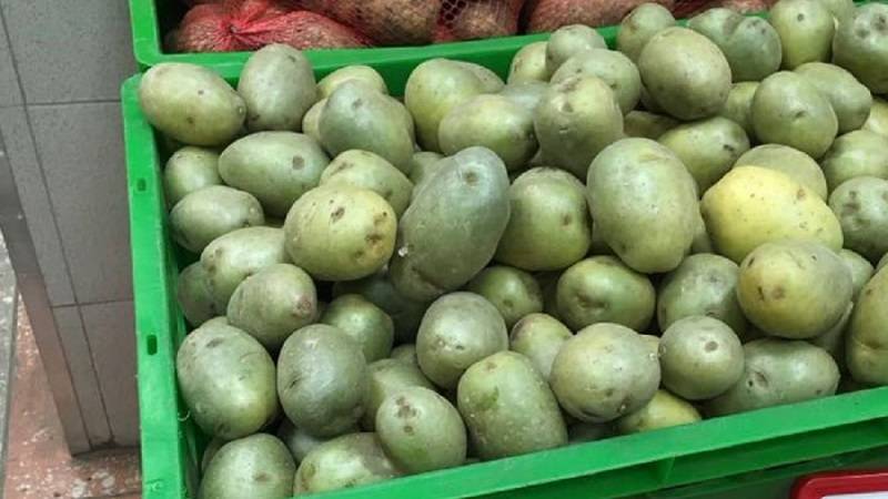 Почему картошка зеленеет при хранении