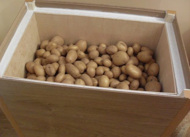 Хранение картофеля в квартире