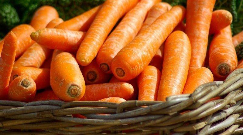 Морковь медовая
