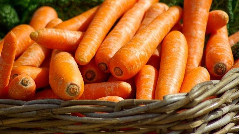 Какая морковь самая сладкая и урожайная