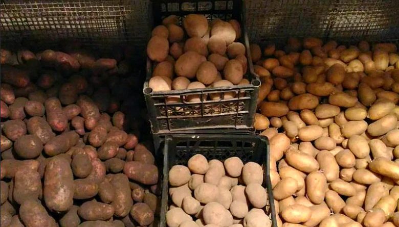 При какой температуре нужно хранить картофель